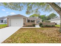 Charming single-story home featuring an attached two-car garage and low-maintenance front yard at 7296 Sw 115Th Pl, Ocala, FL 34476