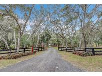 Long gravel driveway leading to property, flanked by mature trees and a black wooden fence at 255 Butterfly Forest Rd, Geneva, FL 32732