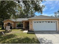 Charming single-story home featuring a well-maintained lawn and an attached two-car garage at 231 Cranbrook Dr, Kissimmee, FL 34758