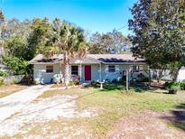 Charming single-story home featuring a well-manicured lawn, palm tree and bright red front door at 32804 Blossom Ln, Leesburg, FL 34788