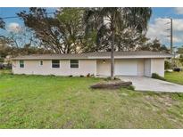 Charming single-story home with a lush green lawn, featuring a driveway, a large palm tree, and a welcoming entrance at 1750 E Welch Rd, Apopka, FL 32712