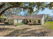 Charming single-story home with lush landscaping and inviting curb appeal nestled beneath a large, shady tree at 10320 Bumblebee Ln, Leesburg, FL 34788