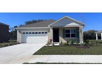 Charming single-Gathering home featuring a two-car garage, neutral tones, and well-maintained landscaping at 4597 Boxwood Way, Mount Dora, FL 32757