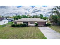 Charming single-story home featuring a well-manicured lawn, attached garage, and mature landscaping at 759 Swallow St, Deltona, FL 32725