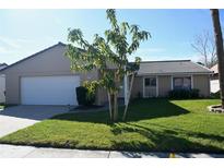 Charming single-story home with a well-maintained lawn and a two-car garage at 10753 Wilderness Ct, Orlando, FL 32821