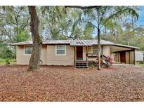 Charming tan home featuring a front yard covered in leaves and a covered carport at 14226 Nell Dr, Orlando, FL 32832