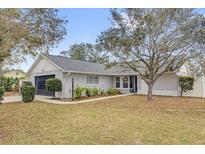 Charming single-story home featuring a well-maintained lawn and a two-car garage at 180 Stanley Bell Dr, Mount Dora, FL 32757