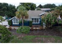 Charming home featuring lush landscaping, mature palms, and a freshly painted exterior at 3111 Indian Trl, Eustis, FL 32726