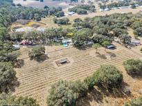 Expansive vineyard estate featuring rows of grapevines and a charming home with a private pool at 5117 Cr 316A, Bushnell, FL 33513