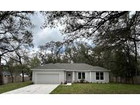 Charming single-story home with a well-manicured lawn and a two-car garage at 1385 5Th St, Orange City, FL 32763