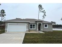 Charming one-story home featuring a two-car garage, neutral paint, and well-manicured lawn at 13163 Sw 70Th Ct, Ocala, FL 34473