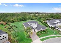 Stunning aerial view of a home with a lush lawn, complemented by mature trees and impeccable landscaping at 8614 Hata St, Orlando, FL 32827