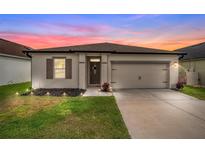 Charming single-story home featuring a well-maintained lawn and a two-car garage with pleasant exterior paint at 650 Peyton Brooke Way, Winter Haven, FL 33881