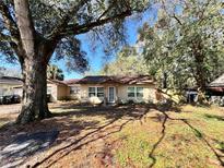 Charming single-story home with a covered front entry and mature shade trees in the front yard at 7002 Rose Ave, Orlando, FL 32810