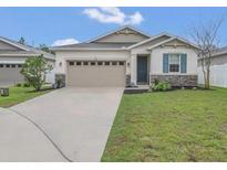 Charming single-story home with a well-manicured lawn and a two-car garage at 4009 Swan Goose Ct, Okahumpka, FL 34762