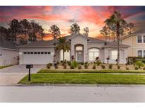 Beautiful home featuring a well-manicured lawn, neutral exterior paint, and lovely landscaping at 438 Belfry Dr, Davenport, FL 33897