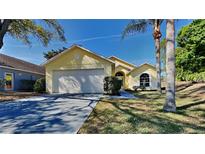 Charming yellow home with a well-maintained lawn and a two-car garage at 2156 Fish Eagle St, Clermont, FL 34714