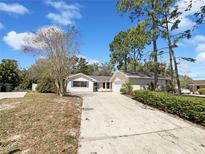 Charming single-story home with a large front yard and a long driveway leading to an attached garage at 1738 Athens Ct, Lakeland, FL 33803
