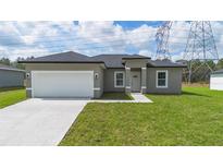 Charming single-story home with a well-maintained lawn and a two-car garage, offering a welcoming curb appeal at 17052 Sw 44Th Cir, Ocala, FL 34473