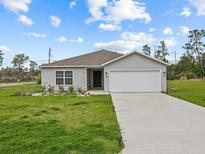 Charming home featuring a well-manicured lawn and a spacious driveway at 2925 Sw 172Nd Lane Rd, Ocala, FL 34473