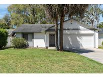 Charming single-Gathering home featuring a well-maintained lawn and an attached two-car garage at 3455 Jujube Dr, Orlando, FL 32810