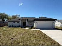 Inviting single-story home with a manicured front lawn and an attached garage at 917 Swallow St, Deltona, FL 32725