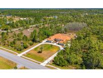 Aerial view showcasing the home's location on a large, wooded lot at 6005 Bancroft Blvd, Orlando, FL 32833