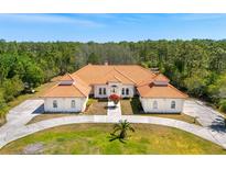 Sprawling estate with circular drive, mature landscaping, and distinct architecture at 6005 Bancroft Blvd, Orlando, FL 32833