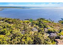 Stunning aerial view of waterfront property with lush greenery and serene lake views at 1475 Warrior Trl, Enterprise, FL 32725