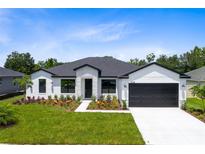 Charming single-story home featuring manicured lawn and modern architectural details at 30340 W Bluebell Ave, Eustis, FL 32736