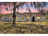 Stunning single story home featuring a well-manicured lawn and mature trees at 17572 Davenport Rd, Winter Garden, FL 34787