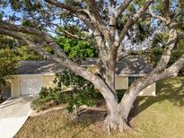Charming home featuring a mature tree, well-manicured lawn, and a two-car garage at 4907 Lindsay Ct, Orlando, FL 32821