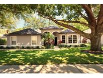 Charming single-story home featuring an arched entryway, lush landscaping and a large tree at 3415 Starbird Dr, Ocoee, FL 34761