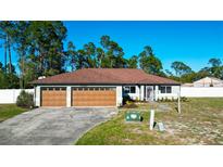 Charming single-story home with a two-car garage and a well-manicured lawn under a clear blue sky at 11507 Lake Dr, Leesburg, FL 34788