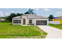 Modern exterior elevation showcasing the well-maintained lawn and neutral color palette with attractive gray trim at 6164 Sw 129Th St, Ocala, FL 34473