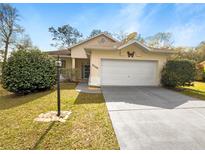 Charming single-story home features a two-car garage, well-maintained lawn, and inviting curb appeal at 9700 Sw 194Th Cir, Dunnellon, FL 34432