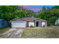 Charming single-story home features a gray exterior, arched entryway, well-manicured lawn, and an attached garage at 216 Clara Vista St, Debary, FL 32713