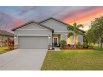 Charming single-Gathering home featuring a manicured lawn, two-car garage, and lovely landscaping at 3807 Night Heron Dr, Sanford, FL 32773