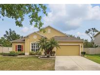 Charming single-story home featuring a well-manicured lawn, mature palm trees, and an attached two-car garage at 3747 Moon Dancer Pl, St Cloud, FL 34772