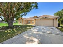 Charming single-story home featuring a two-car garage, well-maintained lawn, and mature tree at 421 Blackbird Way, Kissimmee, FL 34759