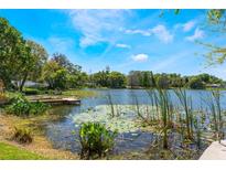 Beautiful lake view property featuring a wooden dock and lush greenery at 2316 Marlboro St, Orlando, FL 32806