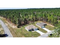 Aerial view of the property showing the house, driveway and surrounding greenery at 12781 Sw 86Th Circle, Ocala, FL 34473
