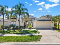 Inviting home exterior with a two-car garage, tropical landscaping, and a neatly kept lawn at 3624 Belle Rose Dr, Leesburg, FL 34748