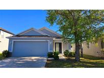 Charming single-story home with a well-manicured lawn and a two-car garage in a quiet neighborhood at 3734 Hampton Hills Dr, Lakeland, FL 33810