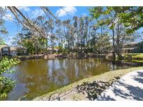 Scenic view of the community pond surrounded by lush trees and greenery at 6114 Peregrine Ave # D03, Orlando, FL 32819