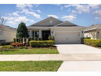 Charming single-story home with a well-manicured lawn, lush landscaping, and a two-car garage at 7838 Penrose Pl, Wildwood, FL 34785