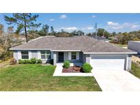 Charming one-story home with a well-manicured lawn, gray exterior, and a two-car garage at 14978 Sw 24Th Cir, Ocala, FL 34473