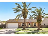 Charming single-story home featuring a well-manicured lawn and mature palm trees in a desirable neighborhood at 2098 Hedgerow Cir, Ocoee, FL 34761