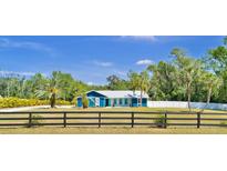 Charming blue one-story home with metal roof, green lawn, mature palms, and a black wooden fence at 245 Country Circle E Dr, Port Orange, FL 32128
