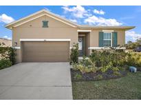 Charming single-story home with a well-manicured lawn and a two-car garage at 2451 Spring Breeze Dr, Leesburg, FL 34748